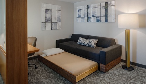 Studio, 1 King Bed with Sofa bed, Non Smoking (Mobility/Hearing Access, Roll-in Shwr)