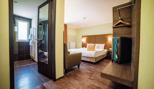 Business Room, 1 King Bed