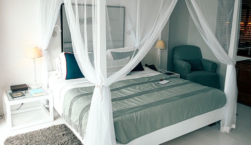 Suite (Austral)