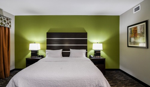 Studio, 1 King Bed, Refrigerator & Microwave