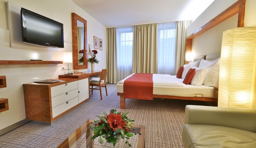 Superior Double Room (with Wellness Access)