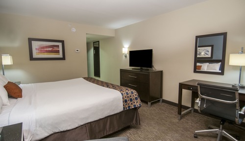 Room, 1 King Bed, Non Smoking