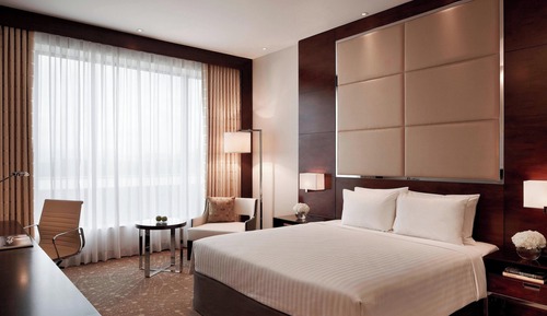 Room, 1 King Bed