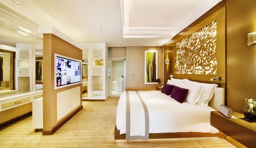 Luxury Suite
