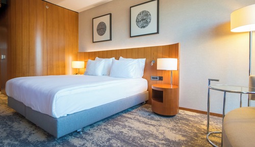 Standard Room, 1 King Bed, Accessible
