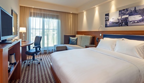 Room, 1 Queen Bed with Sofa bed