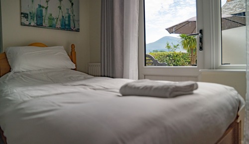 Deluxe Double Room, 1 King Bed, Accessible, Mountain View