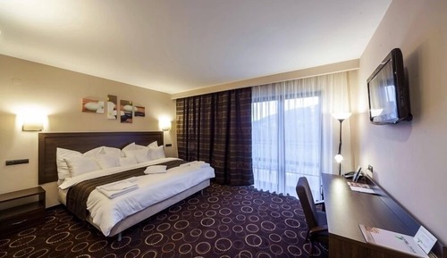 Comfort Single Room