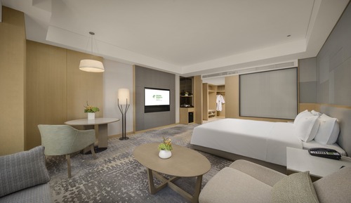 Premium Room, 1 King Bed, City View