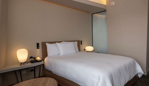 Room, 1 Queen Bed, Accessible (Mobility & Hearing, Roll-In Shower)