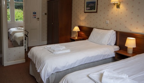 Basic Twin Room