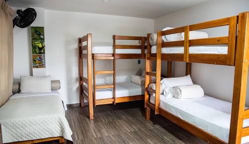 Family Room, Multiple Beds