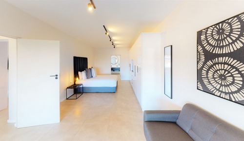 Deluxe Penthouse