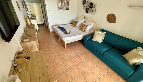 Panoramic Studio, 1 Queen Bed with Sofa bed, Sea View, Sea Facing (Carambole 1607 RDC Vue mer)