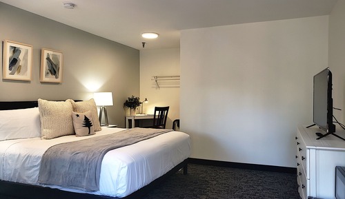 Room, 1 King Bed, Accessible