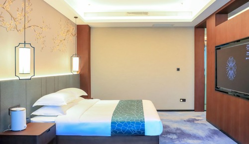 Executive Studio Suite