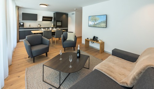 Apartment, 2 Bedrooms, Patio, Mountain View