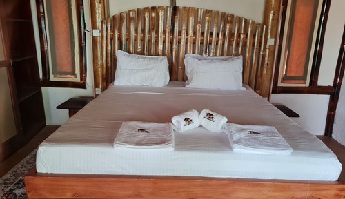 Luxury Double or Twin Room