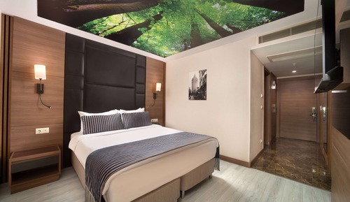 Junior Suite, 1 Queen Bed, Non Smoking
