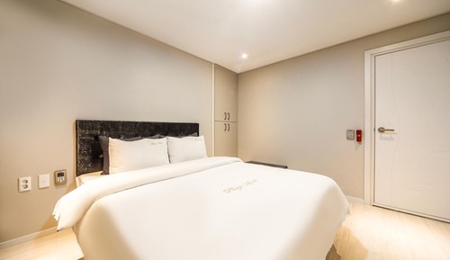 Room (Standard Room - Air Purifier (Light b)
