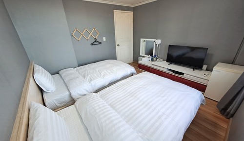 Room (Standard Twin (Mountain View))