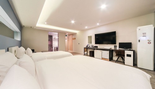 Room (Twin (styler equipped air purifier br)