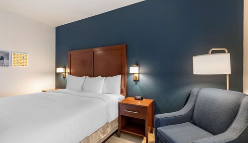 Standard Room, 1 King Bed, Non Smoking