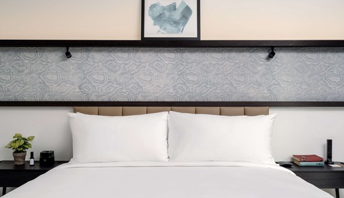 Room, 1 King Bed, Terrace