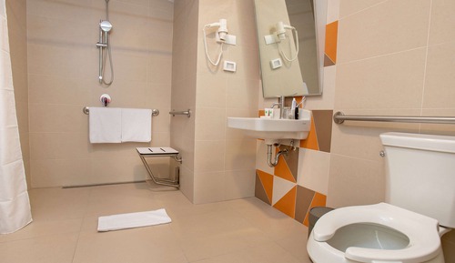 Room, 1 Double Bed, Accessible