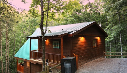 Cabin, 1 Bedroom