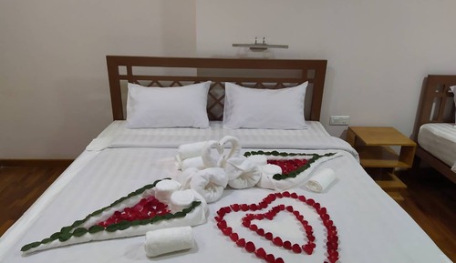 Standard Single Room, 1 Twin Bed