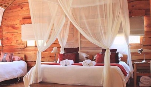 Standard Cabin