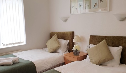 Basic Twin Room