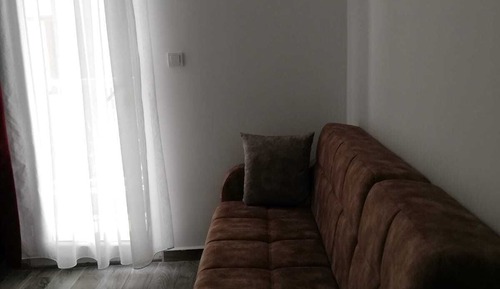 Basic Apartment