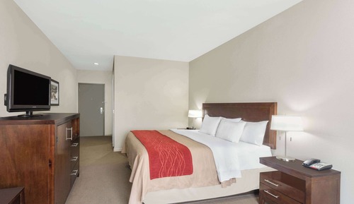 Room, 1 King Bed, Accessible, Non Smoking (Tub with Grab Bars)