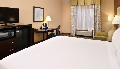 Suite, 1 King Bed with Sofa bed