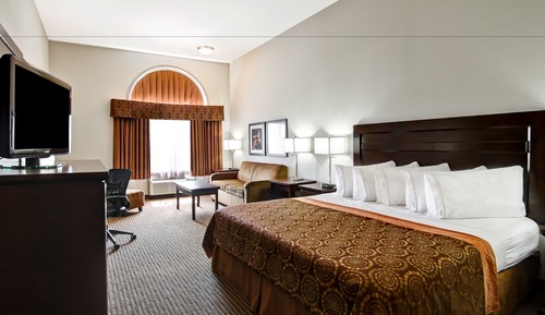 Suite, 1 King Bed with Sofa bed