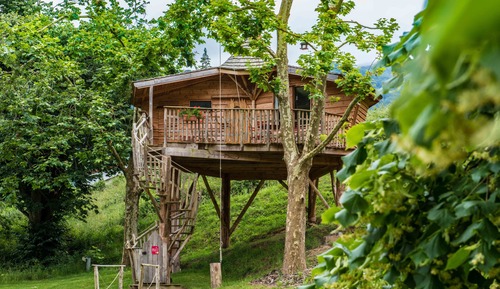 Cabin