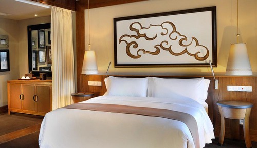 Room, 1 King Bed