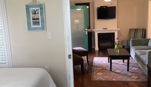 Suite, 1 King Bed (No Pets Allowed)