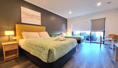 Deluxe Twin Room with Patio