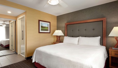 Suite, Accessible (Roll-in Shower)