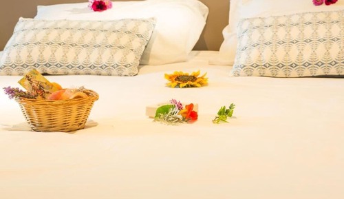 Standard Room, 2 Twin Beds