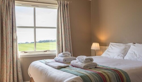 Room, 1 King Bed