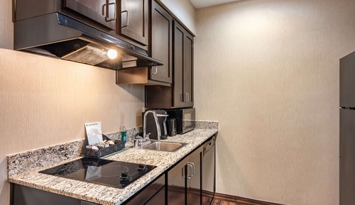 Studio, 1 King Bed, Accessible (Mobility & Hearing, Roll-in Shower)
