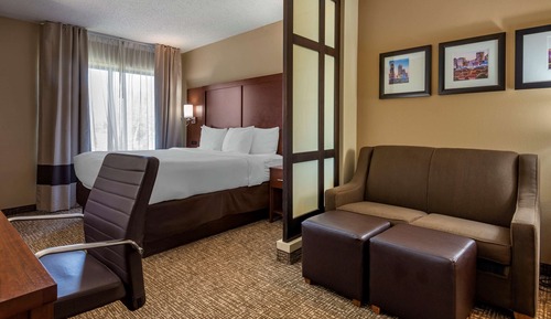 Suite, 1 King Bed with Sofa bed, Non Smoking