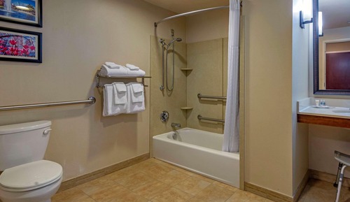Suite, 1 King Bed with Sofa bed, Accessible, Non Smoking