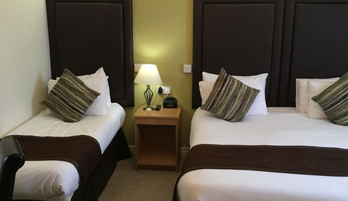 Basic Twin Room