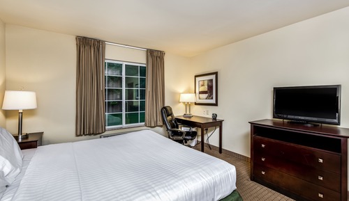 Room, 1 King Bed, Non Smoking