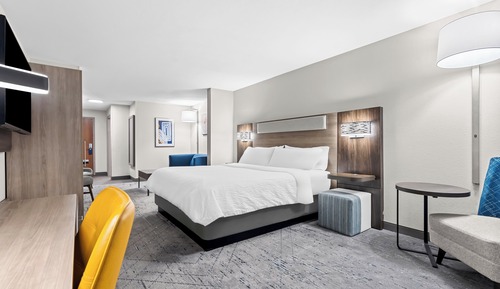 Suite, 1 King Bed